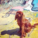 tho - @thomas.gabrielli.2b.27 - Instagram