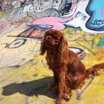 Thomas - @thomas_gabrielli - Instagram