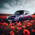 Thomas Gailey - @tom_mini_r53 - Instagram
