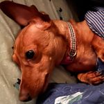Thomas Gainey - @thomasgainey1 - Instagram