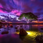 Thomas Galbraith - @thomas.galbraith.794 - Instagram