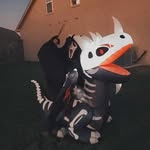 Thomas Gallegos - @einsteinxwolf - Instagram
