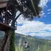 Thomas Gallegos - @thomasgallegos2 - TikTok