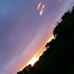 thomas gamboa - @gamboa2035 - Instagram
