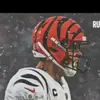 Thomas Gammont-bird - @thomas.gammontbir - TikTok