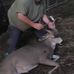 Thomas Ganey - Facebook