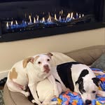 Thomas Garlow - @thomasgarlow - Instagram