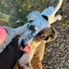 thomas garman - @user493690717 - TikTok