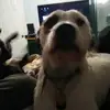 Thomas W Garman - @tom.gar - TikTok