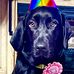 Thomas Gasser - Facebook