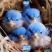 Thomas Gather - Facebook