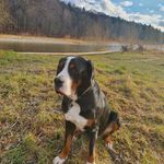 Thomas Gathmann - @thomas.gathmann - Instagram