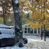 Thomas Gearhart - @thomas.gearhart - TikTok