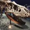 Thomas.gecko5931 - @thomas.gecko5931 - TikTok
