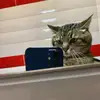 ThomasMcphersonGEcK6C - @thomasmcphersonge - TikTok
