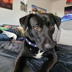 Thomas Gerhard Heigel - @heigelthomasgerhard - Instagram