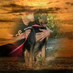 Thomas Gerhard Rusch - @asphaltkamikaze - Instagram