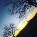 Thomas German - @gamerboy1193 - Instagram