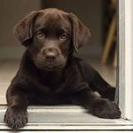 Thomas German - @thomasgerman3093 - Instagram