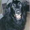 thomasgerman65 - @thomasgerman65 - TikTok