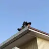 Thomasghee13 - @thomasghee13 - TikTok