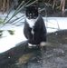 Thomas Giesecke - Facebook