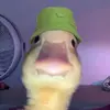 thoguy1.4 - @thomasgignac43 - TikTok