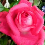 Thomas Gilgen - Facebook