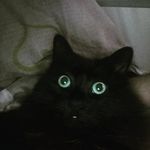 Thomas Gillett - @thomas.gillett - Instagram