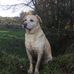 Thomas Given - Facebook