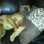 Thomas Goble - @tommyjay3333 - Instagram