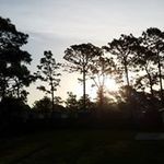 Thomas Goble - @thomas.goble.16 - Instagram