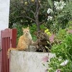 Thomas Goergen - @thomasgoergen - Instagram