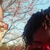 Thomas Goines - Facebook