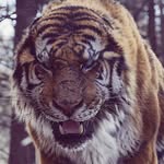 Thomas Golder - @thmsgldr - Instagram