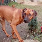Thomas Goldschmidt - @hexe251983 - Instagram