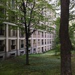 Thomas Goldschmidt - @thgoldschmidt - Instagram