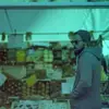 Tomas Goldschmidt - @tomasgoldschmidt - TikTok