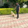 Thomas Goodson - @thomas.goodson0 - TikTok