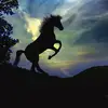 thomasgoringe - @thomasgoringe26hp7810 - TikTok