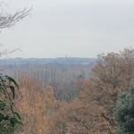 Thomas Gorrell - @thomas_photography06 - Instagram