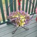 Thomas Nathaline Gosse - Facebook