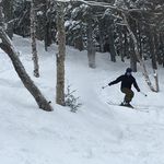 Thomas Goulet - @_thomgou_ - Instagram