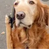 thomasgovey09 - @thomas.govey11 - TikTok