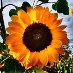 Thomas Gramlich - Facebook