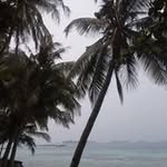 Grauert Thomas - @thomasgrauert - Instagram