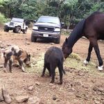 Lori Thomas Greenwell - @lorithomasgreenwell - Instagram