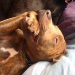 Thomas Greenwell - @greenwell.thomas - Instagram