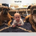 Thomas Greenwell - @thomas_greenwell - Instagram