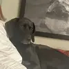 Thomas Gregory - @thomas.gregory86 - TikTok